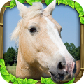 Wild Horse Simulator Mod