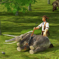 Sniper Hunt: Safari Survival‏ Mod