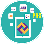 Learn .Net Framework Pro Mod