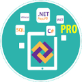 Learn .Net Framework Pro Mod