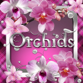 Orchids Go Launcher  theme‏ Mod
