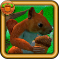 Squirrel Simulator Mod