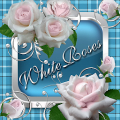 White Roses Go Launcher theme‏ Mod