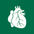 Human Organs Anatomy Reference icon