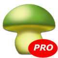 MushtoolPro - Mushroom icon