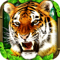 Tiger Simulator icon