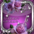 Tender Roses Go Launcher theme Mod