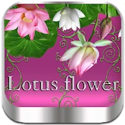 Lotus flower Go Launcher theme Mod