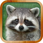 Kids Learn About Animals Mod