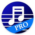 Music Trainer ProfessionalPRO icon