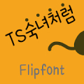 TSlikelady™ Korean Flipfont Mod