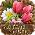TSF NEXT ADW LAUNCHER VINTAGE FLOWERS BASKET THEME Mod
