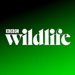 BBC Wildlife Magazine Mod