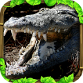 Wildlife Simulator: Crocodile icon