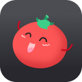 Tomato VPN | VPN Proxy icon