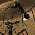 Ant Simulation 3D Full‏ Mod