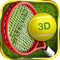 Tennis Champion 3D - Online Sp Mod