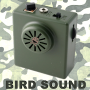 Bird Sound Mod