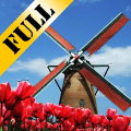 Tulip Windmill Live Wallpaper‏ Mod