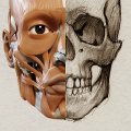 3D Anatomy for the Artist icon
