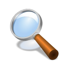 Magnifier + Flashlight Mod