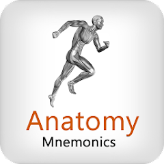Anatomy Mnemonics Mod