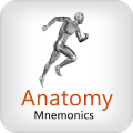 Anatomy Mnemonics‏ Mod