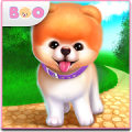 Boo — Cachorro bonitinho Mod