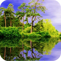 Forest Pond Live Wallpaper Mod