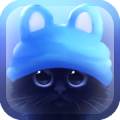 Yin The Cat icon