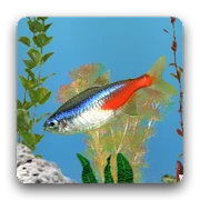 aniPet Freshwater Aquarium LWP