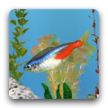 aniPet Freshwater Aquarium LWP Mod