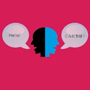 Perfect Translator Mod