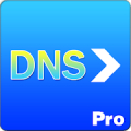 DNS Forwarder Pro Mod