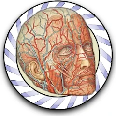 Speed Angiology MD Mod