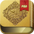 Tafsir Ibnu Katsir Pro Mod