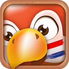 Learn Dutch Phrases Mod