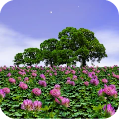 Clover Field Live Wallpaper Mod