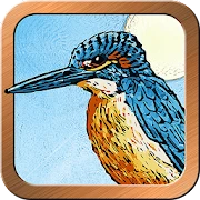Animal Totem Tarot Mod