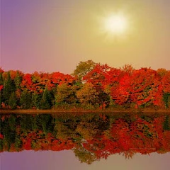 Autumn Lake Live Wallpaper Mod