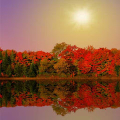 Autumn Lake Live Wallpaper Mod
