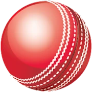 Cricket Speed Gun Mod