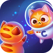 A Evolução Dos Gatos: O Espaço