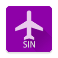 Singapore Flight Info Pro Mod
