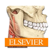 Sobotta Anatomy