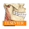 Sobotta Anatomy Mod
