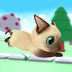 Corrida do Gato