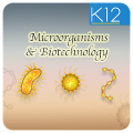Microorganisms & Biotechnology‏ Mod