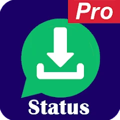 Pro Status  Video Imag Mod