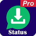 Pro Status  Video Imag Mod
